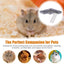 Hamster Platform With Ladder Safe PVC Play Gym With Ladder Pet Supplies Small Animal Habitat Decor For Hamsters Hedgehogs
