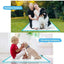 20/40/50/100pcs Dog Disposable Urine Pads, Dog Diapers High Absorbent Pet Cage Pads Puppy Potty Training Pads