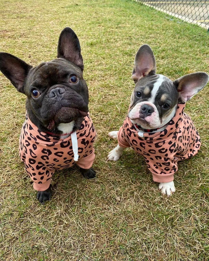 Warm Dog Clothes Hoodies for Small Dogs Cute French Bulldog Clothing Fashion Winter Puppy Supplies Cat Jumper Chihuahua Costume
