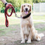 Durable Nylon Dog Collar Leash Set Traction Rope Medium Big Dog Walking Accessories Labrador Husky P-Chain Travel Pet Products