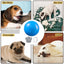 Automatic Rolling Ball Toys Safe Dog Toy Balls Bite Resistant Dog Toys Puppy Toys Fun Interactive Play for Pet Dog Puppy