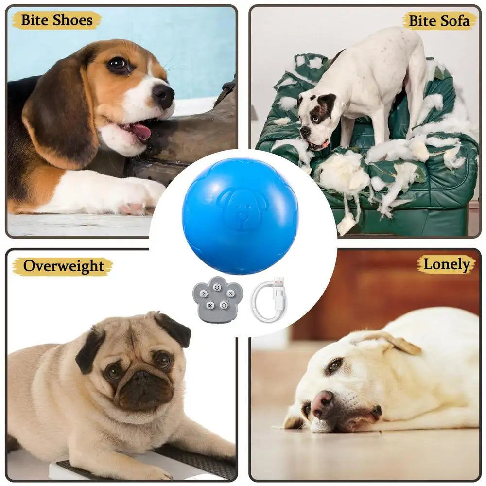 Automatic Rolling Ball Toys Safe Dog Toy Balls Bite Resistant Dog Toys Puppy Toys Fun Interactive Play for Pet Dog Puppy