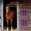 Grooming Brush for Horses Shedding Horse Brush Grooming Tool Itch Relief Grooming Brush Pet Hair Brush Cleaning Tools Cat Dog
