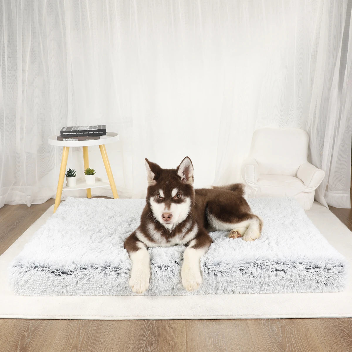 Dog Mat Fluffy Bed Cushion Accessory Supplies Pets Dogs Accessories Basket Baskets Big Small Pet Products Large Beds Sofa Cats