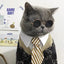 Anti-slip Cat Sunglasses Pet Accessories Small Dog Sun Glasses Classic Retro Circular Glasses for Kitten Photos Props Cosplay