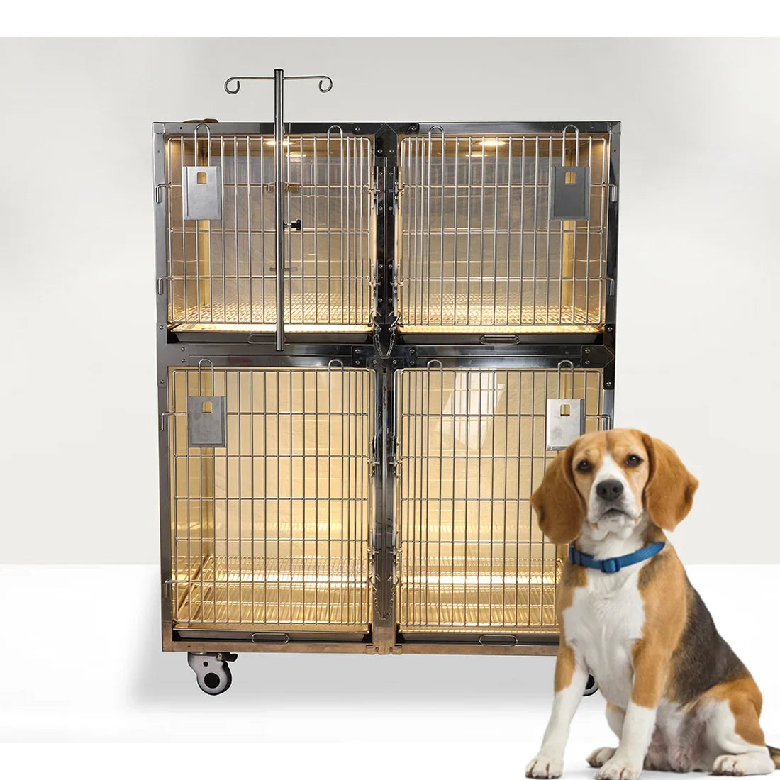 High Quality Stainless Steel Animal Cages Pet Showing Cage For Dog Cat Veterinary Kennel