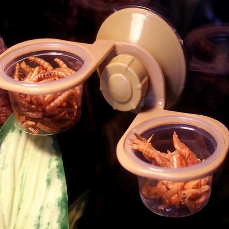 Reptile Feeder Suction Cup  Double Bowl Gecko Feeder Reptile Feeding Cup Chameleon Feeding Food Bowl For Reptiles Food And Water