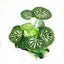Artificial Underwater Grass Aquarium Fish Tank Simulation Decoration Aquarium Backgrounds Plants Water Grass Accessories Home