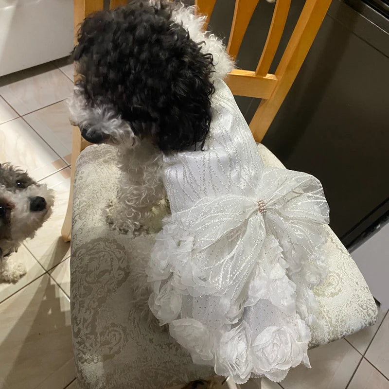 Dog Dress for Small Dogs Prom Party Princess Wedding Dresses Luxury Design Girl Dog Clothes Pomeranian Puppy Cat Costume Outfits