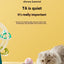Pet automatic cat teasing ball cat toy for self fun and relaxation, rolling ball pet gravity cat toy