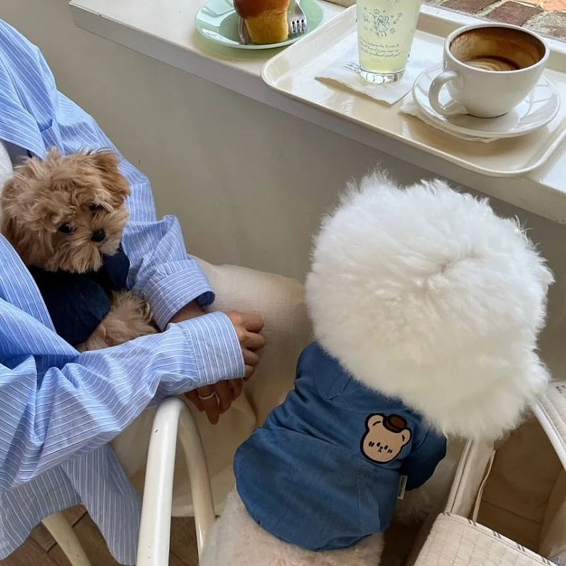 Fashion Dog Cowboy Costume Autumn Winter Dog Denim Jacket Bear Print Cardigan Pet Coat Kitten Puppy Clothing Chihuahua Pullover