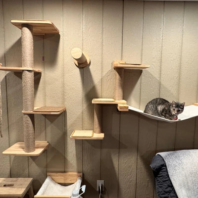 1 Piece Cat Tree Wall Mounted Furniture Scratcher Shelves Cat House Cat Big Platform and Scratching Post for Kitten Playing