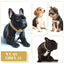 Dog Chain Diamond Collar Walking Metal Chain Collar with Design Secure Buckle Pet Cat Cuban Collar Jewelry Accessories