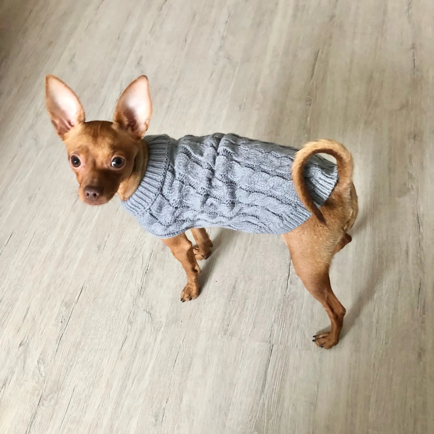 Warm Dog Clothes Knitted Clothes for Dogs Chihuahua Sweater for Small Dogs Winter Clothes for Sphinx Cat Dog Sweater for York