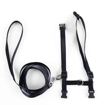 Kitten Cat Harness Leash Set Walking Escape Proof Adjustable Nylon Halter Collar Harness for Cats Puppy Rabbit Pet Accessories