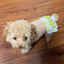 Cute Print Puppy Dog Physiological Pants for Small Dogs Washable Reusable Pet Safety Trousers Poodle Shorts mascotas Underwear