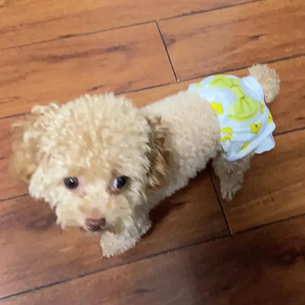 Cute Print Puppy Dog Physiological Pants for Small Dogs Washable Reusable Pet Safety Trousers Poodle Shorts mascotas Underwear