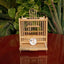 Grasshopper Cage, Bamboo Single Grid, Pure Handmade Bamboo Woven Cage, Classic Insect Crawling Tool with Drawer