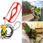 Training Flying Traction Rope Anti-Bite Training Rope Bird Parrot Flying Rope Parrot Harness Bird Harness Leash
