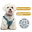 Dog Puzzle Toys Slow Food Dispenser Feeding Interactive Plate Bowl Non-Slip Anti-choking Increase IQ Cat Dogs Training Games