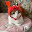 Cute Pet Hat Small Dog Cat Hat Easter Bunny Hat Crab Lobster Frog Cap Pet Party Costume Accessories Headwear for Cat Kitten Pug