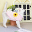 Autumn Winter Sphynx Cat Clothes Korean Pet Sweater for Cats Gotas Katten Kedi Pullovers Dog Hoodie mascotas Costume Clothing