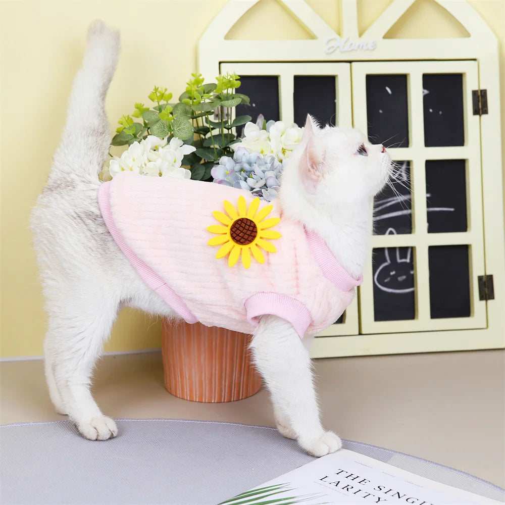 Autumn Winter Sphynx Cat Clothes Korean Pet Sweater for Cats Gotas Katten Kedi Pullovers Dog Hoodie mascotas Costume Clothing