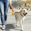 Dog Poop Bag Dispenser Portable Thicker Poop Bag Holder Durable Poop Bag Dispenser Carrying Strap Included for Walking Running