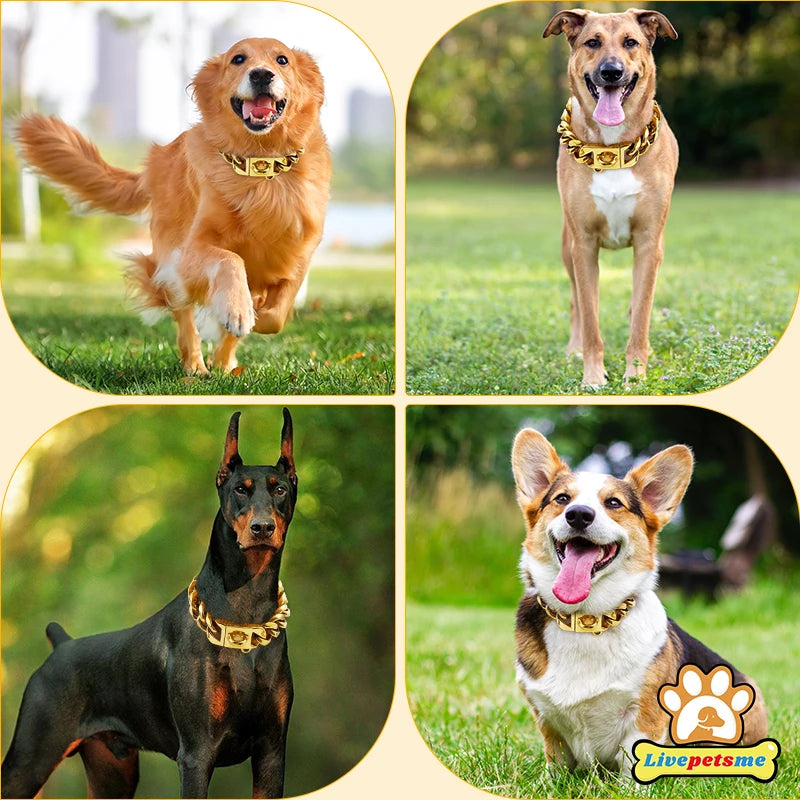 23MM Gold Dog Collar,Dog Chain Collars with Cuban Link Dog Collar,Heavy Duty Training Collar Chew Proof for Medium Dogs