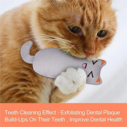 Pet Accessories Rustle Sound Catnip Toy Cats Product For Pets Cute cat Toys For Kitten Teeth Grinding Cat Plush Toy Thumb Pillow