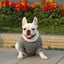Pet Dog Clothes Knitwear Dog Sweater Soft Thickening Warm Pup Dogs Shirt Winter Puppy Sweater for Dogs Casual Pet Cat Clothing