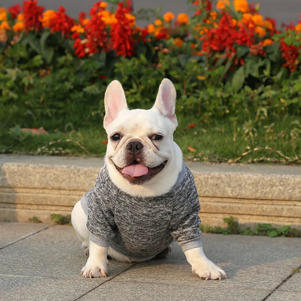 Pet Dog Clothes Knitwear Dog Sweater Soft Thickening Warm Pup Dogs Shirt Winter Puppy Sweater for Dogs Casual Pet Cat Clothing