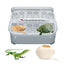 Small Reptile Breeding Box 12 Grids Professional Reptile Incubators Reptile Liz ard Incubation Box Hatchery Tools Suitable For
