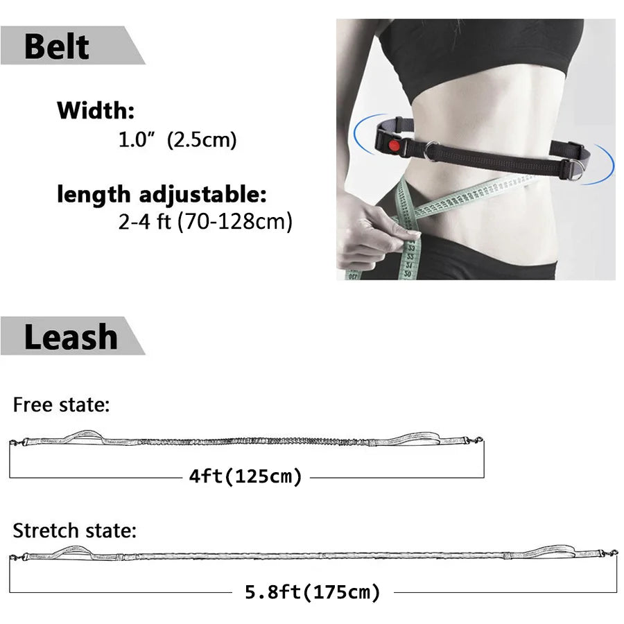 Dog Leash Supplies Free Hands Classic Harness Collar Big Pet Accessories Small Set Dogs Large Suit