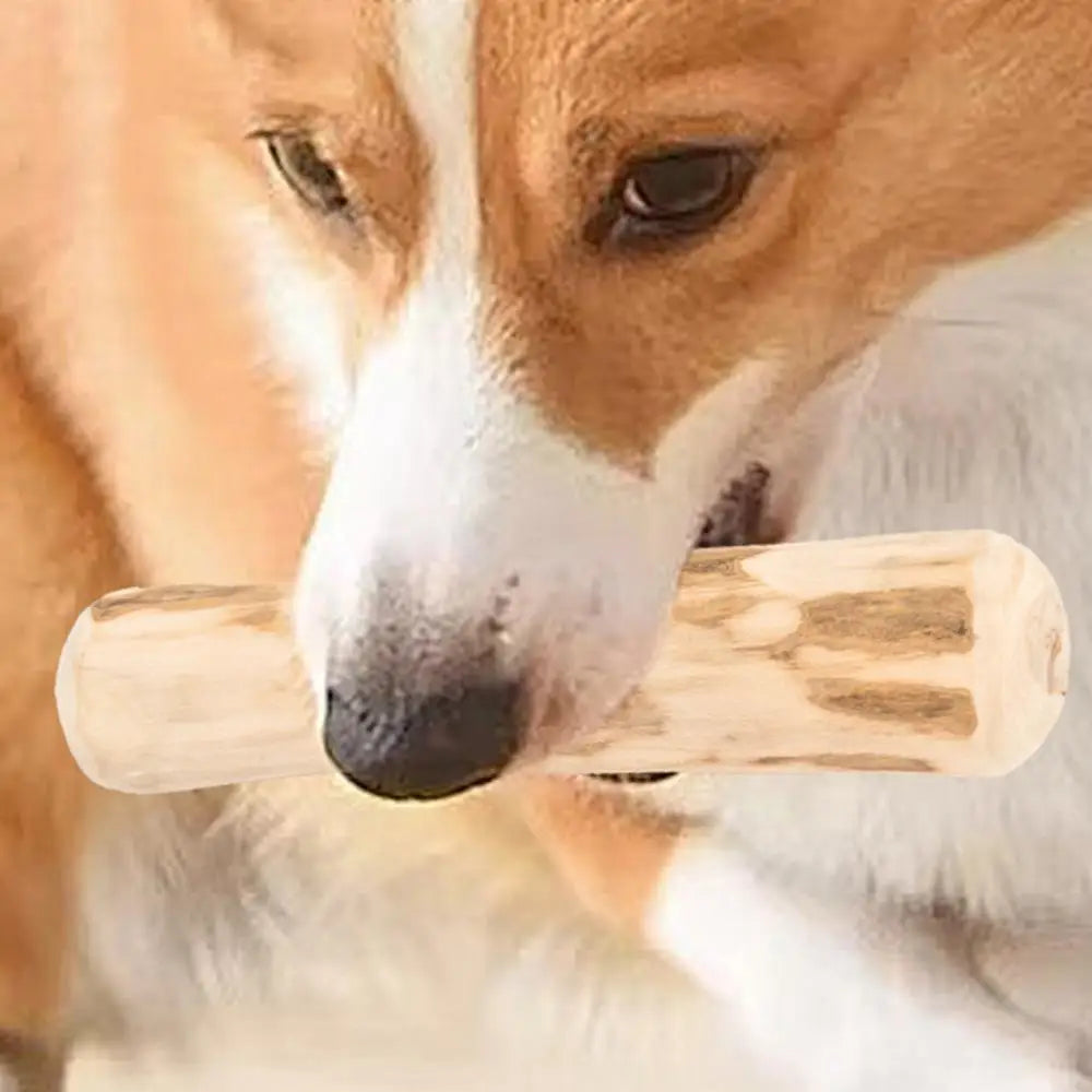 Real Wooden Dog Chew Toys Safe Interactive Pet Chew Stick Natural Dog Teeth Cleaning Hard Portable Sticks For Puppy Travel Toy