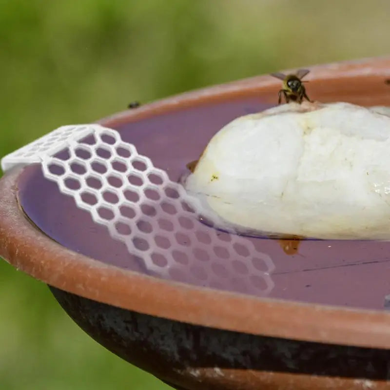 Bee Drinking Station Floating Bee Water Ladder Station Special Design Drinking Water Tool For Pond Any Swimming Pool Bird Bath