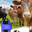 Calf Blanket Blue Waterproof Livestock Protector Blanket Oxford Fabric Thickened Calf Coat Calf Warmer Soft Protector Jacket
