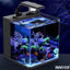Table Curvedcurved Saltwater Marine Fish Tank Aquarium