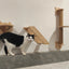 Cat Climbing Shelves Wall Mounted Cat House Wooden Cat Furniture Bridge with Protection Network for Cat & Kitten Ladders & Steps