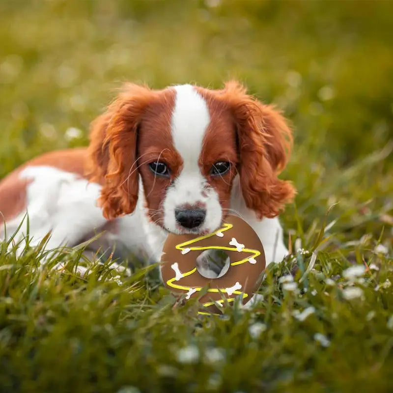 Dog Squeaky Toy Assorted Donut Dog Toy With Squeakers Soft Pet Toy For Puppy Durable Dog Toy For Exercise Chewing Ability And