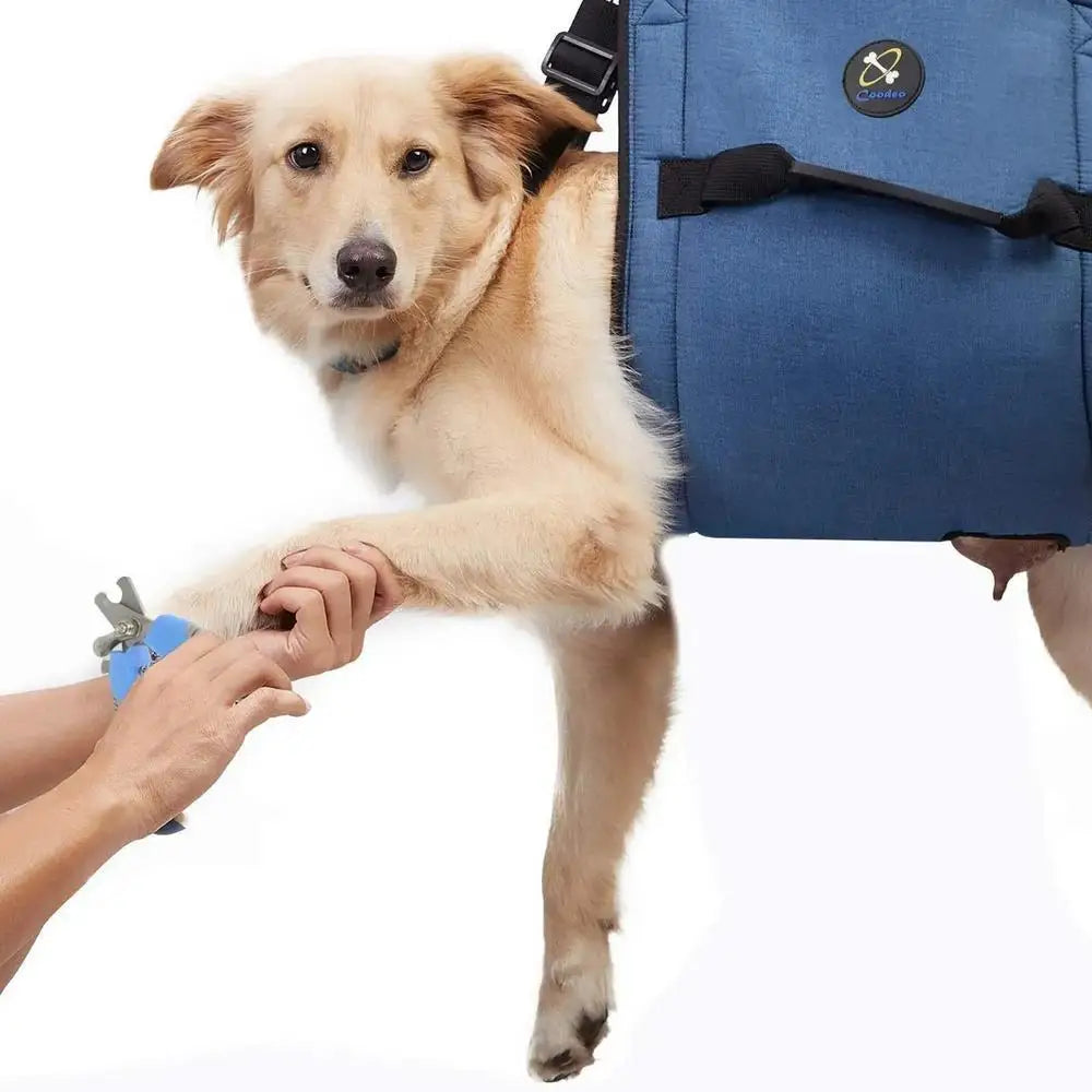 Dog Lift Harness For Large Dogs Adjustable Dog Support Harness Dog Carry Sling For Nail Trimming Dog Carrier For Senior Dogs
