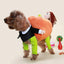Halloween Dog Clothes Funny Pet Dogs Cosplay Costumes Set Christmas Dog Costume Comical Outfits for Pet Cat Puppy Party Clothing
