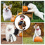 Pet Cosplay Costumes Cats Scary Halloween Costumea Lifelike Cosplay Outfits Halloween Decoration For Halloween Party Festival