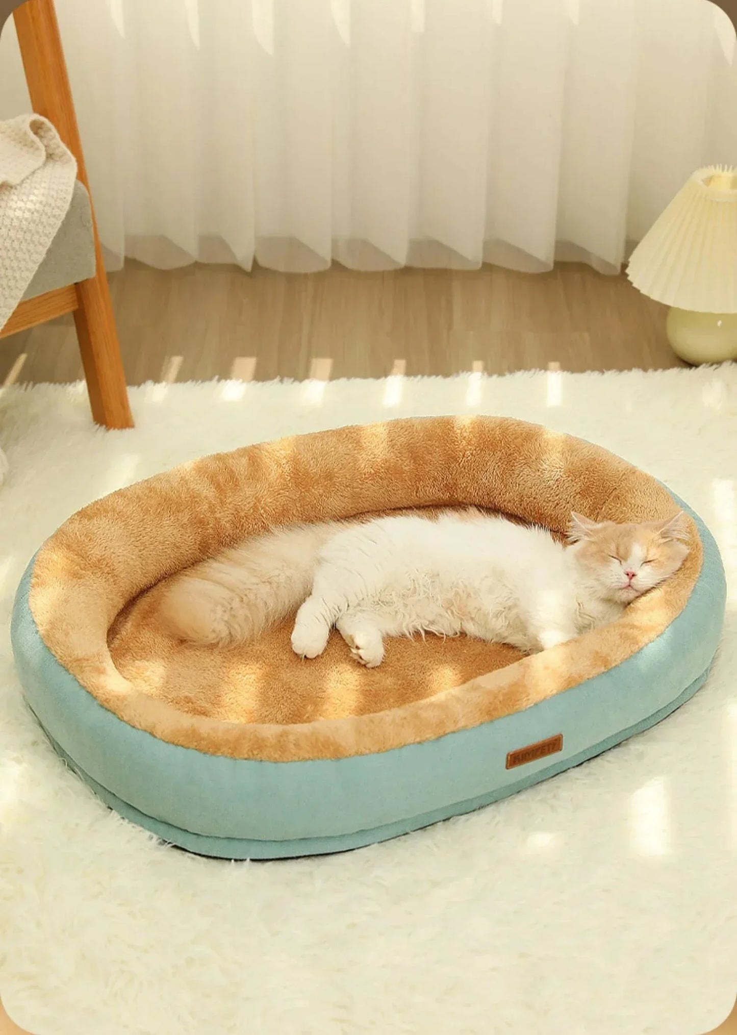 Cats Bed Accessories Puppy Goods Things All Beds Pet Products Houses Supplies Kitten Accessory House Basket Habitats Cushions