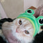 Cute Pet Hat Small Dog Cat Hat Easter Bunny Hat Crab Lobster Frog Cap Pet Party Costume Accessories Headwear for Cat Kitten Pug