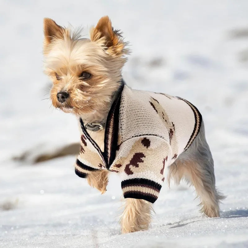 Luxury Dog Sweater Pet Cardigan Striped Knitted Dog Coat Chihuahua Warm Clothes Winter Jackets for Dog Bichon Dog Accessories