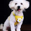 Dog Harness Vest Set Cat Clothes Small Dogs Reflective Breathable Adjustable Outdoor Walking Chest Strap Pet Supplies