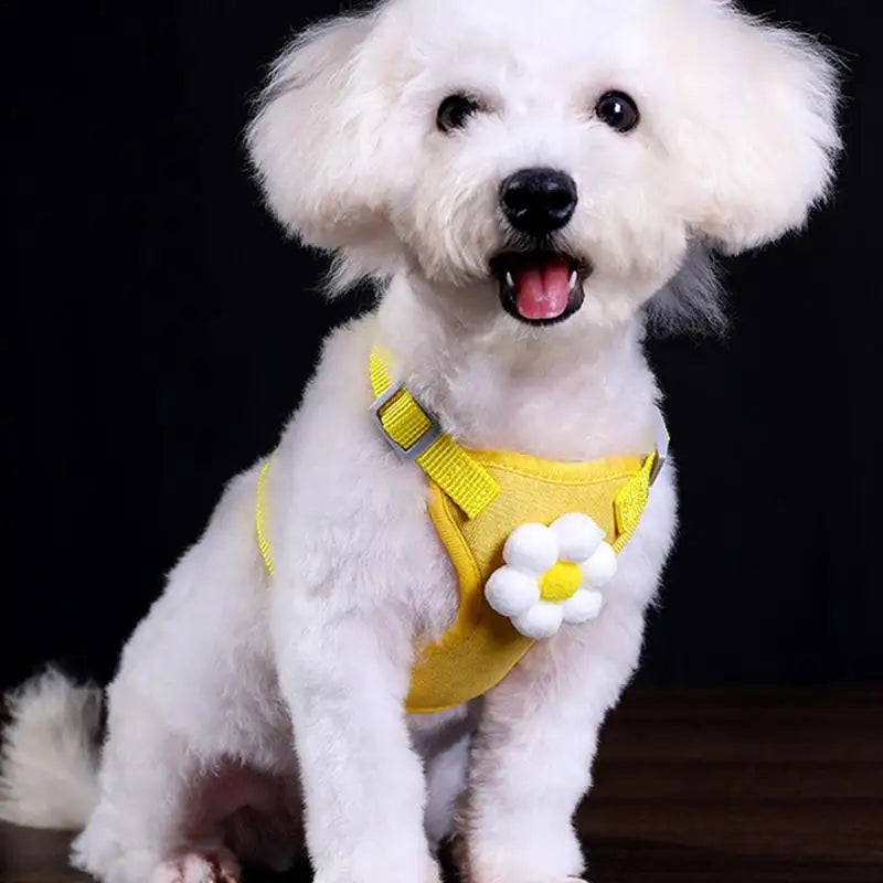 Dog Harness Vest Set Cat Clothes Small Dogs Reflective Breathable Adjustable Outdoor Walking Chest Strap Pet Supplies
