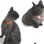 Pet Collars New Pet Bow Bell Collars Cute Cat Collars Pet Supplies Multicolor Adjustable Pet Dressing Tool Pet Accessories