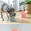 Pet Food Bowl Tilt High Bottom Neck Protector Antichoking Dog and Cat Water Bowl Antidumping Dog Feeding Supplies